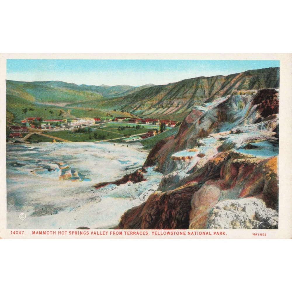 Vintage Haynes Yellowstone Postcard Mammoth Hot Springs Valley Terraces 14047